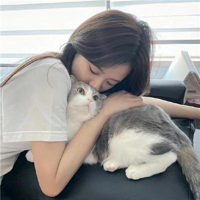 妙探狗福星2